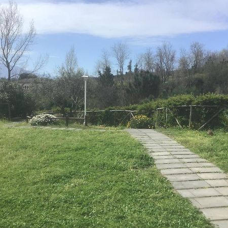 Tenuta Terradifuoco Terzigno エクステリア 写真
